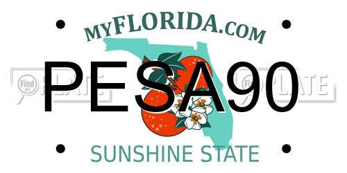 PESA90 Florida License Plate