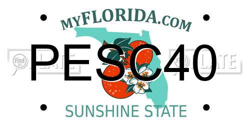 PESC40 Florida License Plate
