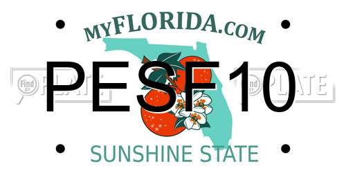 PESF10 Florida License Plate