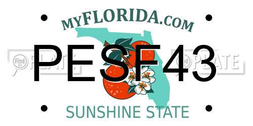 PESF43 Florida License Plate