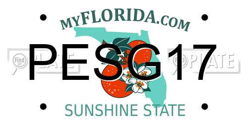 PESG17 Florida License Plate