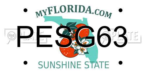 PESG63 Florida License Plate