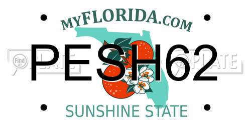 PESH62 Florida License Plate
