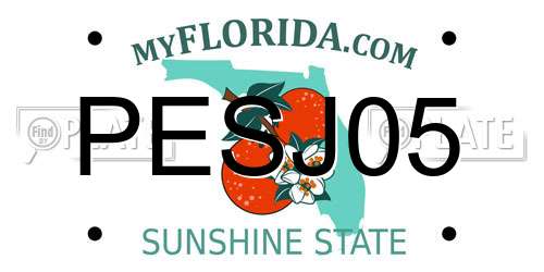 PESJ05 Florida License Plate