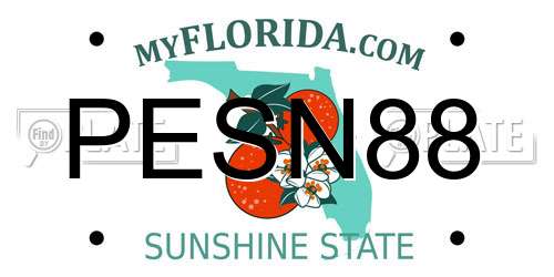 PESN88 Florida License Plate