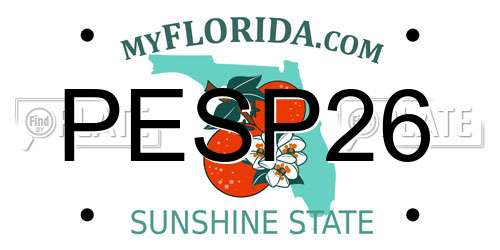 PESP26 Florida License Plate