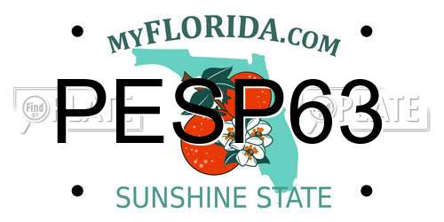 PESP63 Florida License Plate