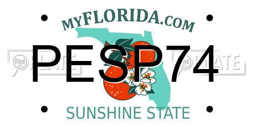 PESP74 Florida License Plate