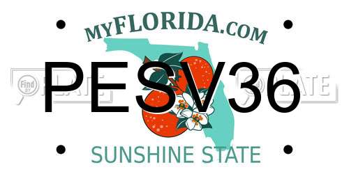 PESV36 Florida License Plate