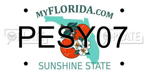 PESY07 Florida License Plate