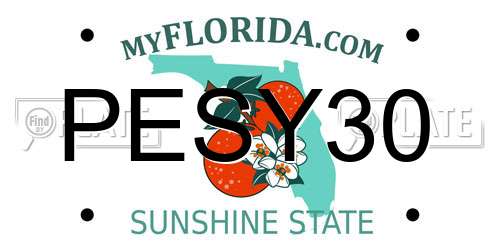 PESY30 Florida License Plate