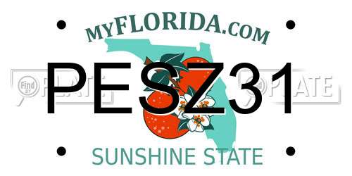 PESZ31 Florida License Plate