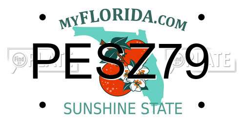 PESZ79 Florida License Plate