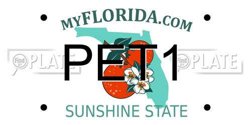 PET1 Florida License Plate