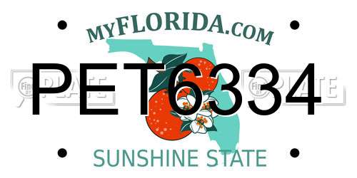 PET6334 Florida License Plate