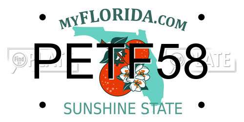 PETF58 Florida License Plate