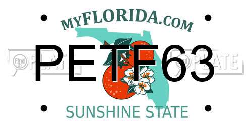 PETF63 Florida License Plate