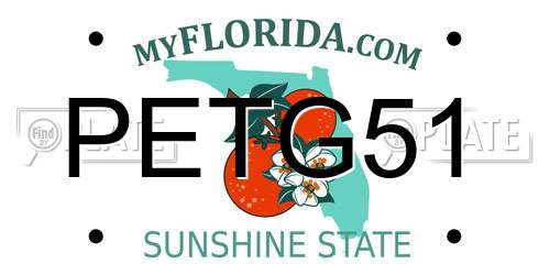 PETG51 Florida License Plate