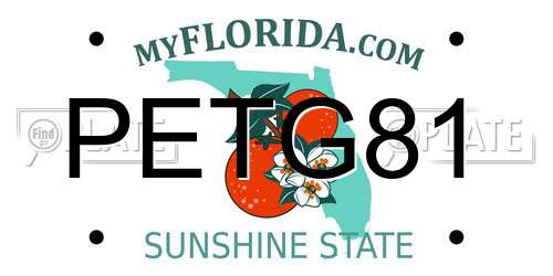 PETG81 Florida License Plate