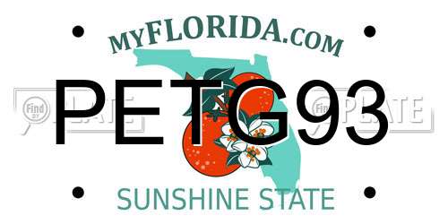 PETG93 Florida License Plate