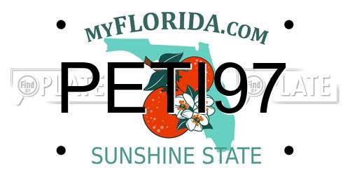 PETI97 Florida License Plate