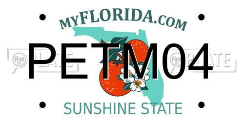 PETM04 Florida License Plate