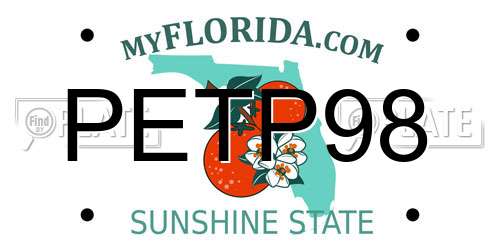 PETP98 Florida License Plate