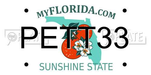 PETT33 Florida License Plate