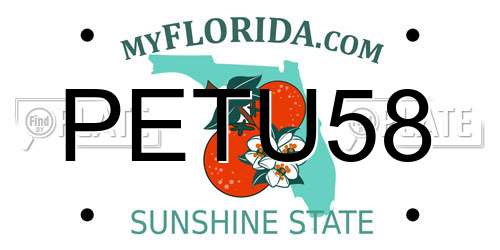 PETU58 Florida License Plate