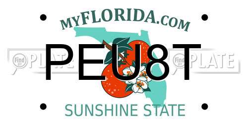 PEU8T Florida License Plate