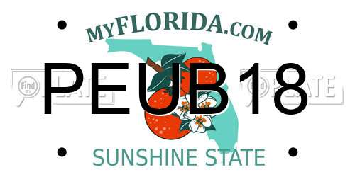 PEUB18 Florida License Plate