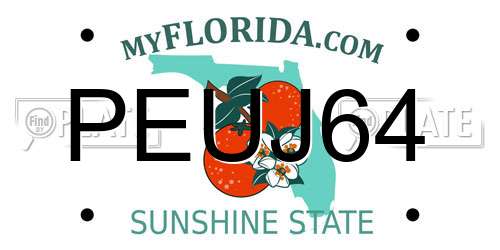 PEUJ64 Florida License Plate