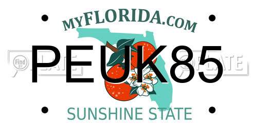 PEUK85 Florida License Plate