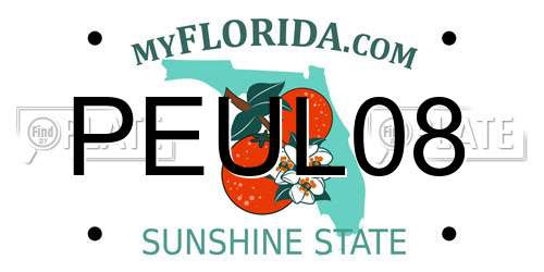 PEUL08 Florida License Plate