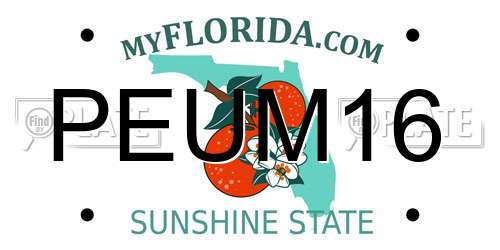 PEUM16 Florida License Plate
