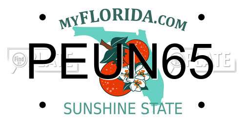 PEUN65 Florida License Plate