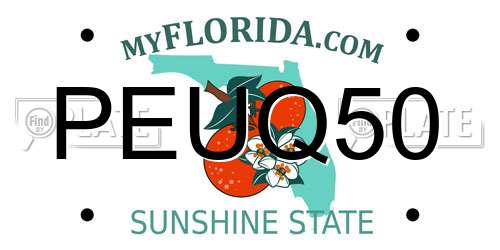 PEUQ50 Florida License Plate