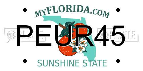 PEUR45 Florida License Plate