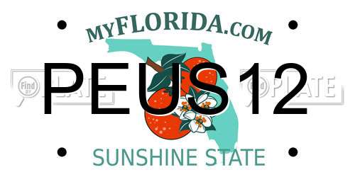 PEUS12 Florida License Plate