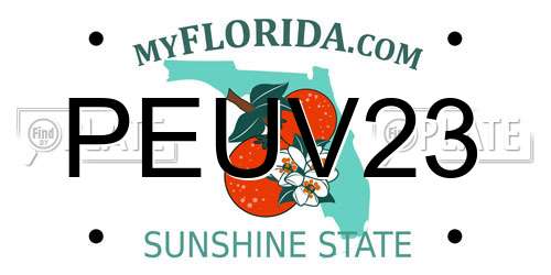 PEUV23 Florida License Plate