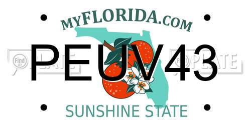 PEUV43 Florida License Plate