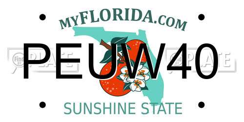 PEUW40 Florida License Plate