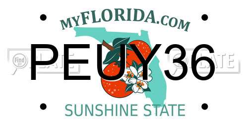 PEUY36 Florida License Plate