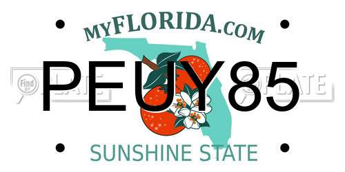 PEUY85 Florida License Plate