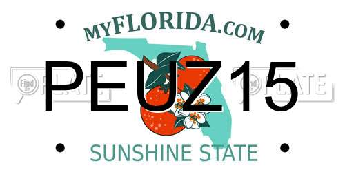 PEUZ15 Florida License Plate