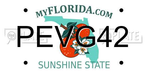 PEVG42 Florida License Plate