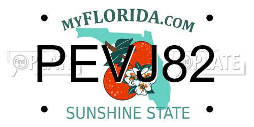 PEVJ82 Florida License Plate