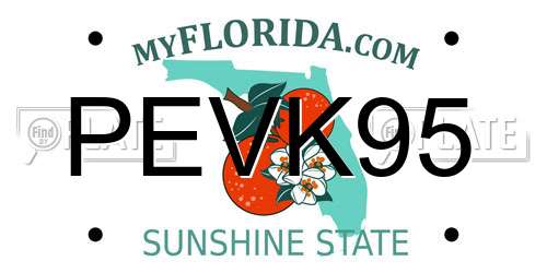 PEVK95 Florida License Plate