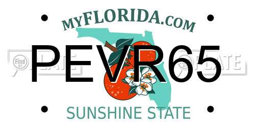 PEVR65 Florida License Plate
