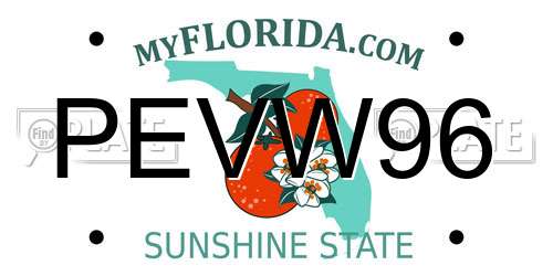 PEVW96 Florida License Plate